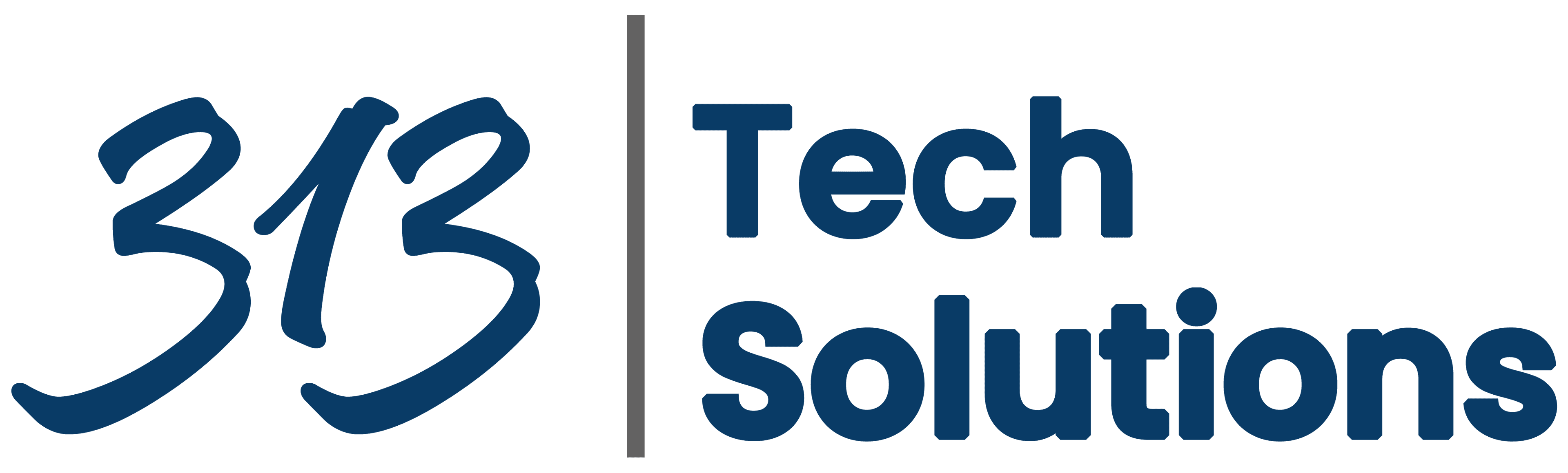 313 Tech Solutions